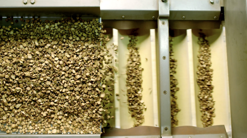 凯时尊龙人生就是博·Z6(中国)首页官网